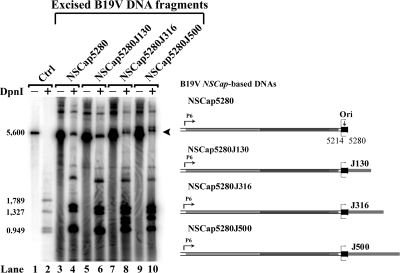 FIG. 7.