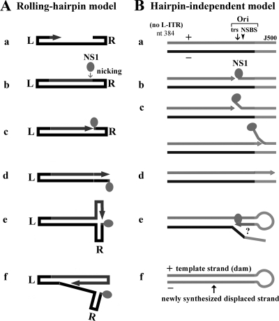 FIG. 2.