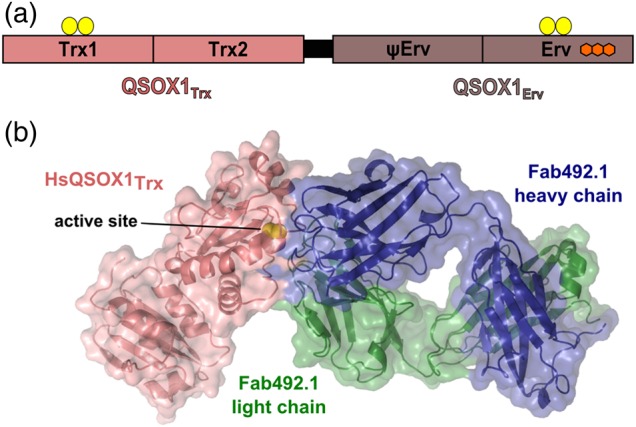 Fig. 1