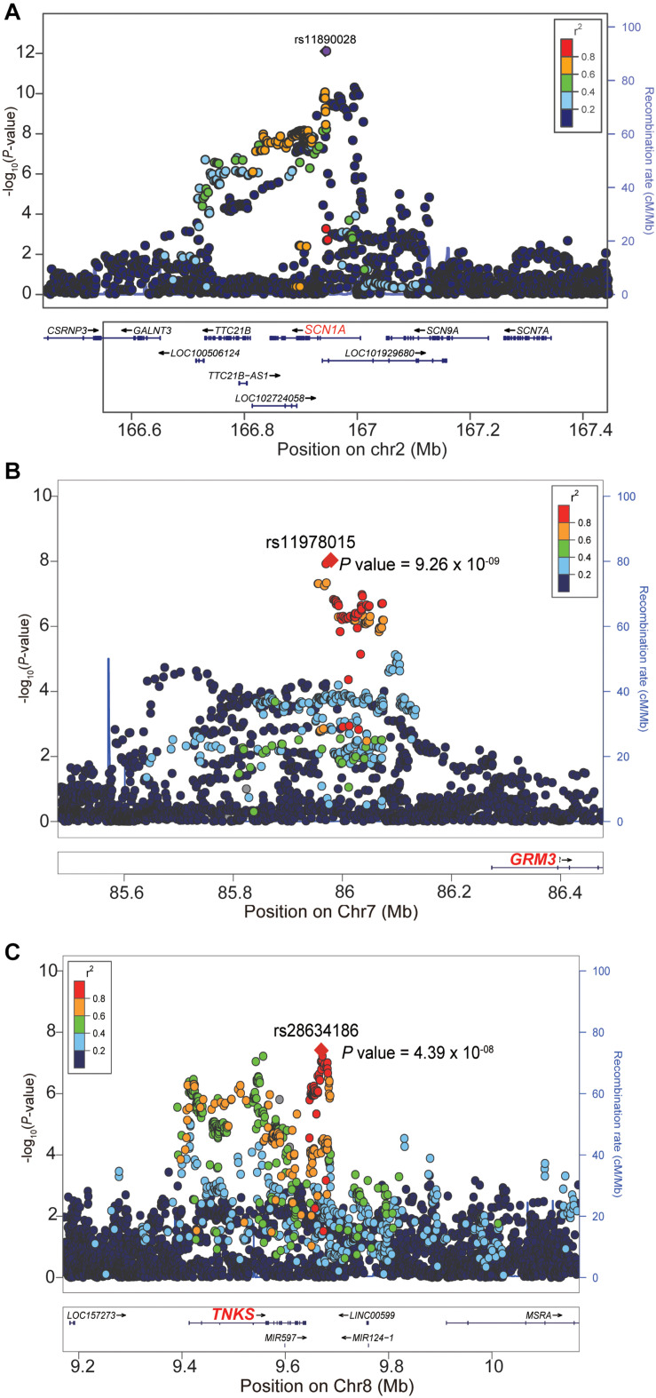 FIGURE 2