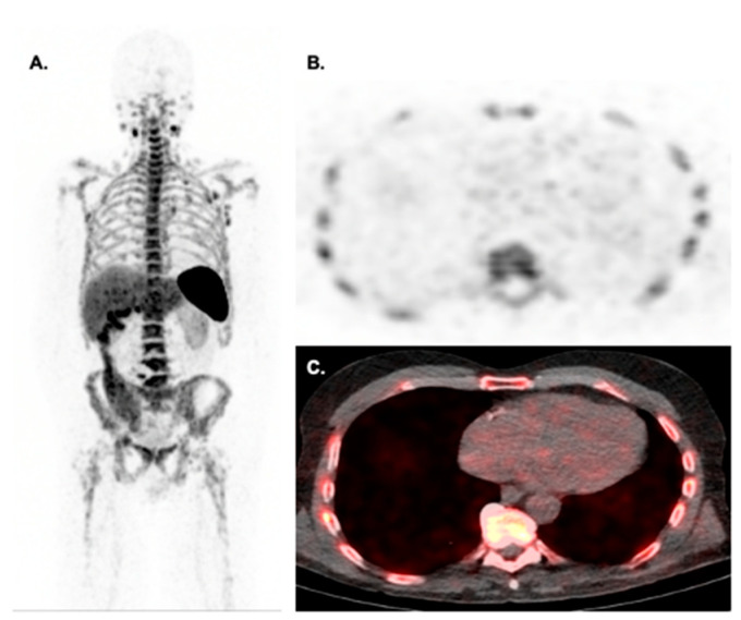 Figure 7