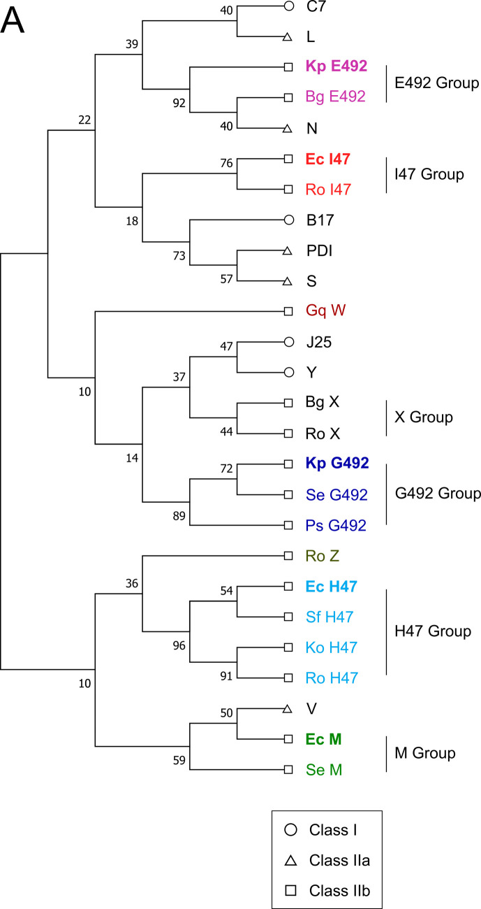 Figure 1—figure supplement 4.