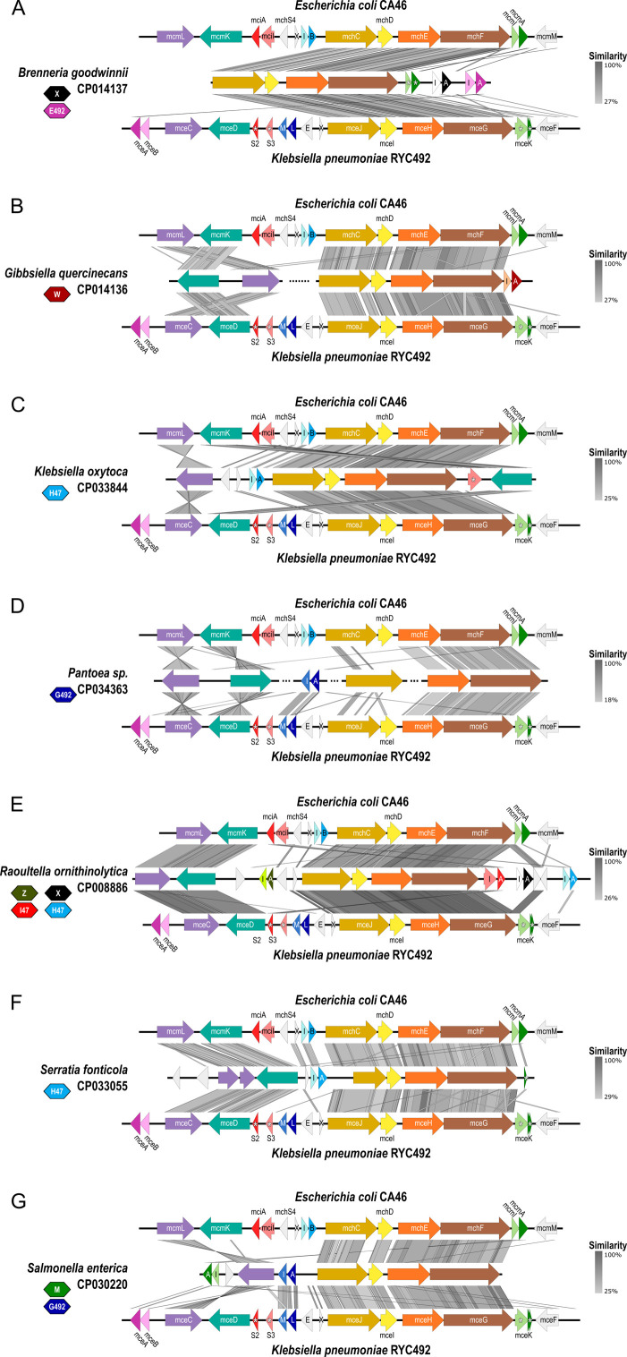 Figure 1—figure supplement 2.