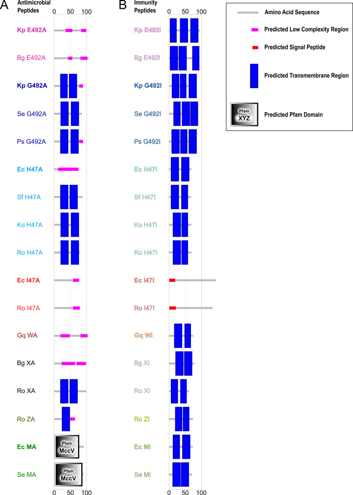 Figure 1—figure supplement 3.