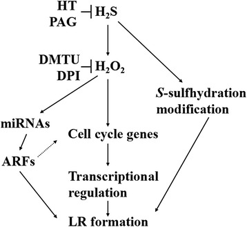 Fig. 9