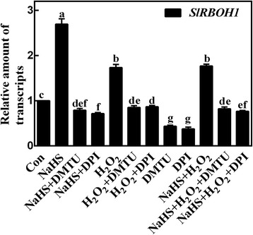 Fig. 5