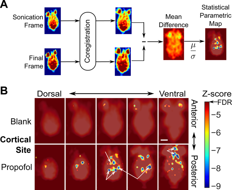 Fig. 4: