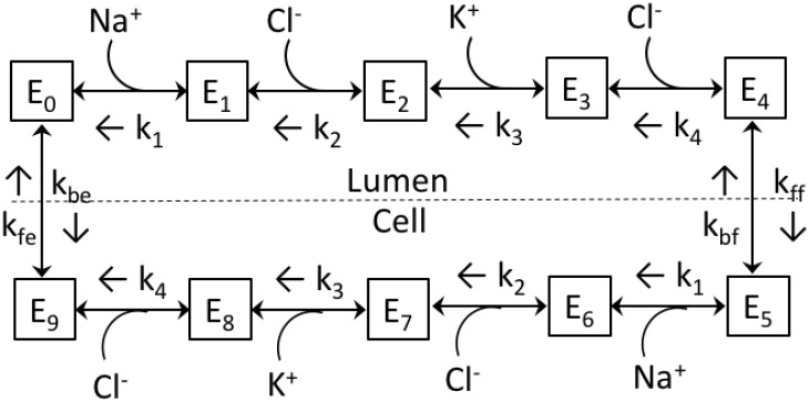 Fig 1