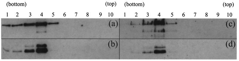 FIG. 9.