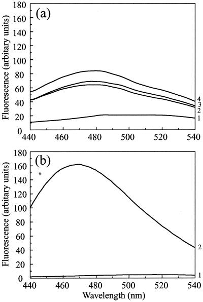 FIG. 7.