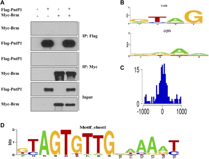 Figure 4—figure supplement 1.