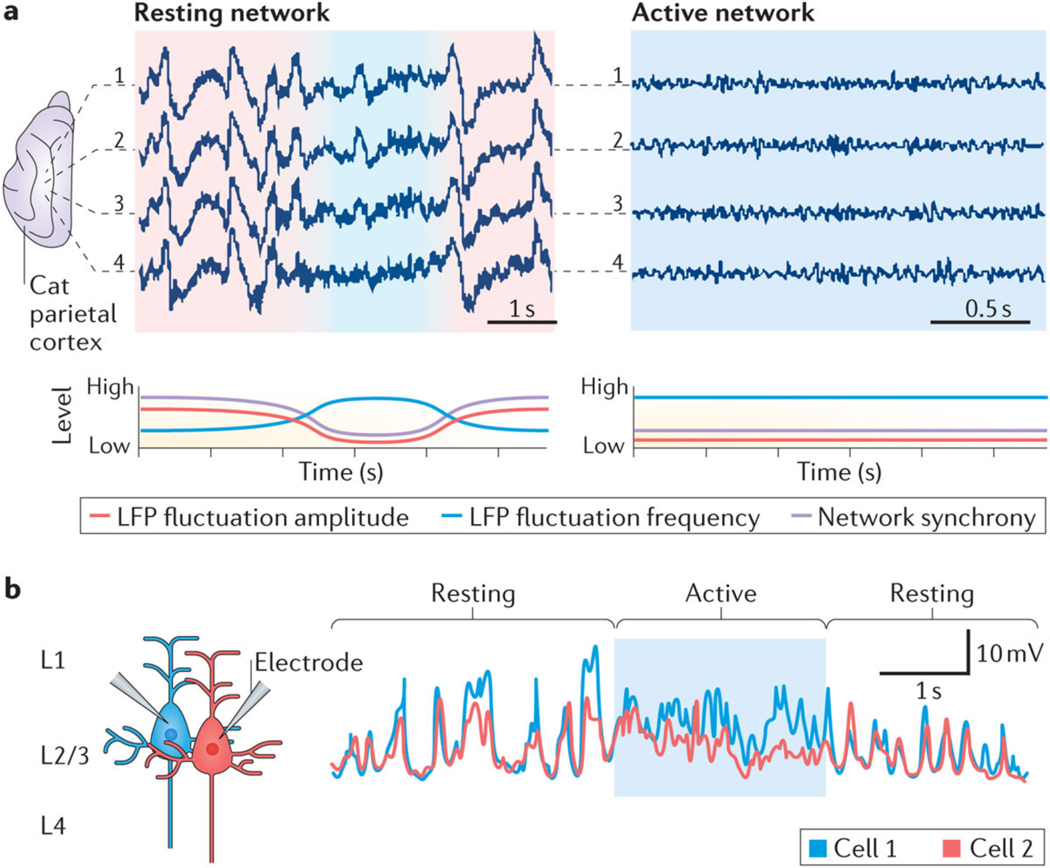 Figure 1 |