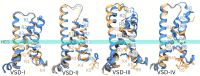 Figure 6—figure supplement 1.