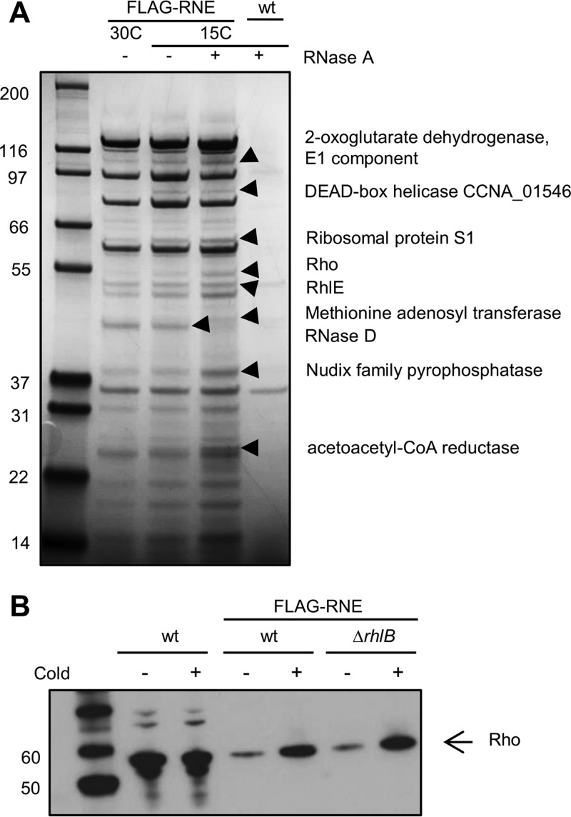 FIG 6