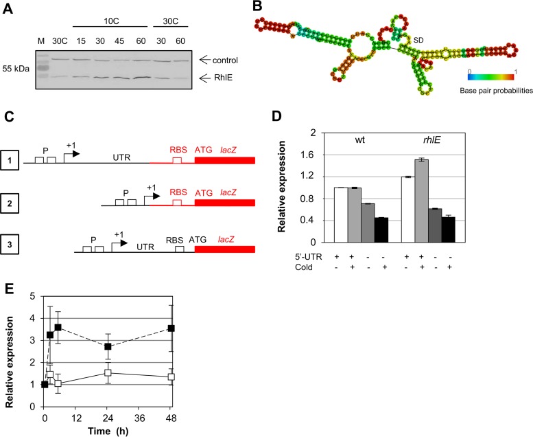 FIG 4