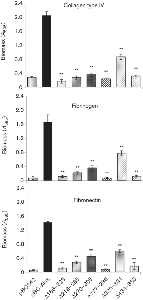 Fig. 8. 