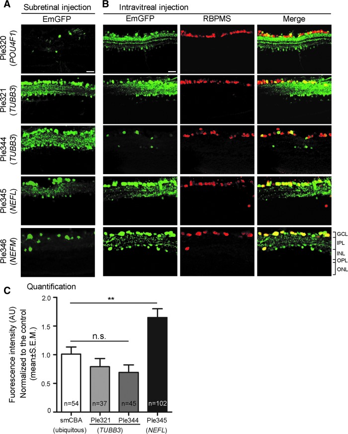 Figure 4.