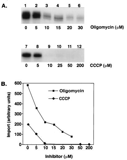 FIG. 5