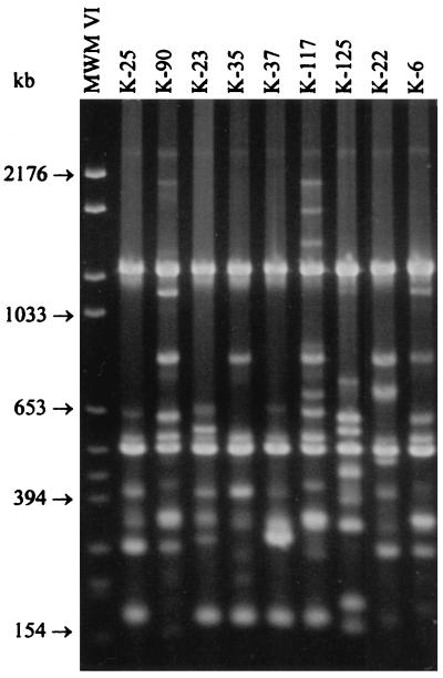 FIG. 6