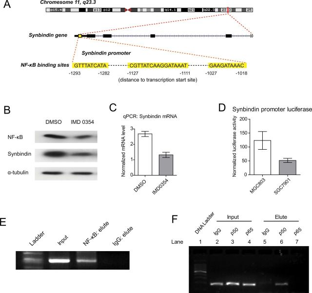 Figure 6.