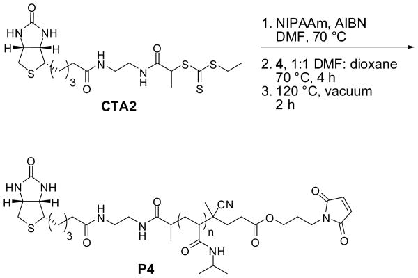 Scheme 5