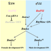 Fig 7