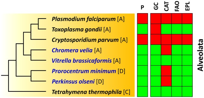 Fig. 4.