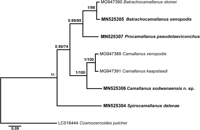 Fig. 7