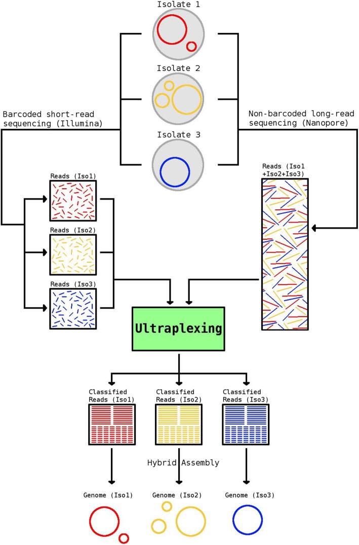 Fig. 1