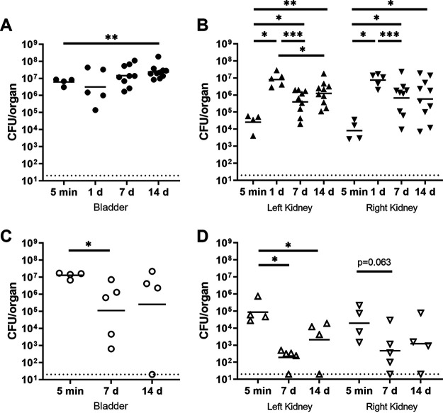 FIG 2