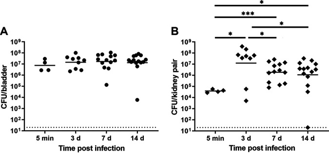 FIG 1