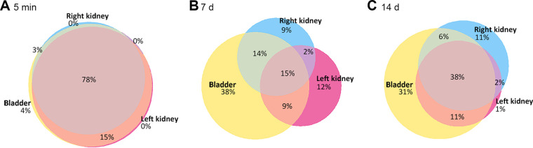 FIG 5