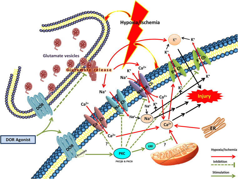 Fig. 2