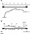 FIG. 1.
