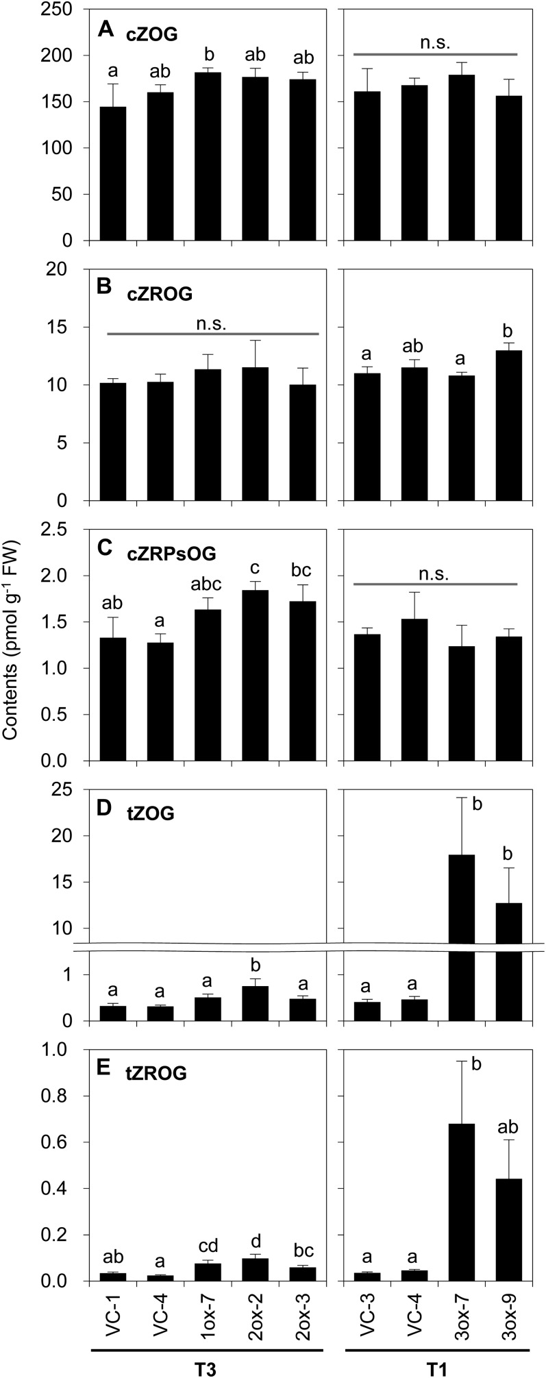 Figure 10.