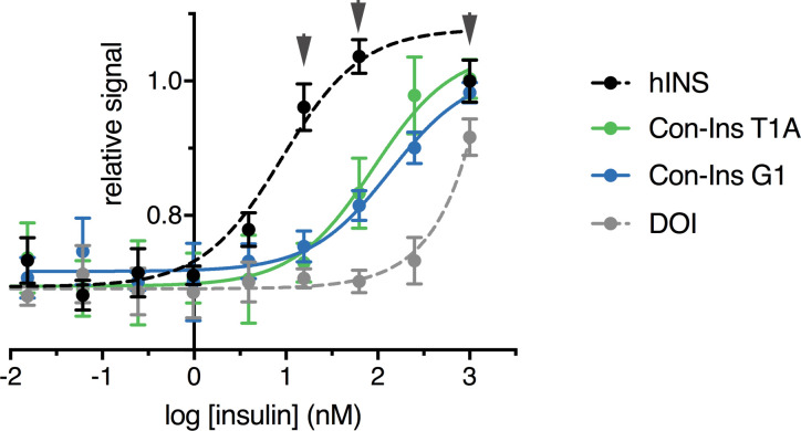 Figure 4—figure supplement 1.