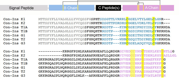 Figure 1—figure supplement 1.