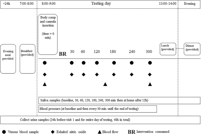 FIGURE 1