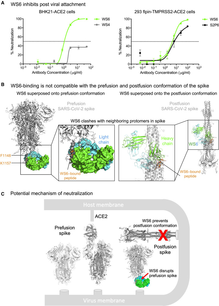 Figure 4