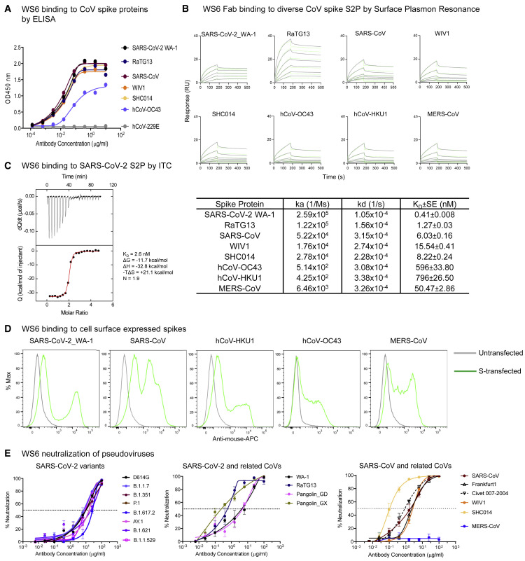 Figure 2