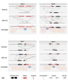 Supplemental Figure S1