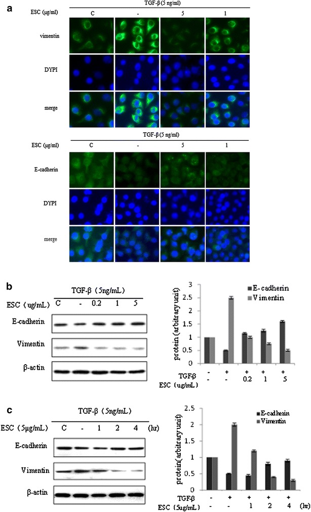 Fig. 4