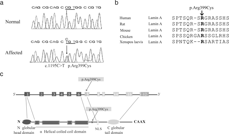 FIGURE 1