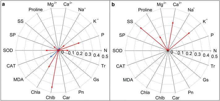 Fig. 6