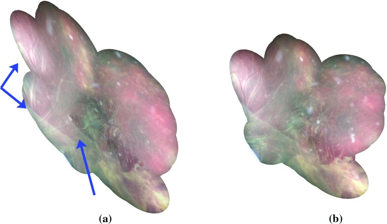 Fig. 4