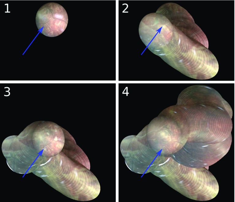 Fig. 3