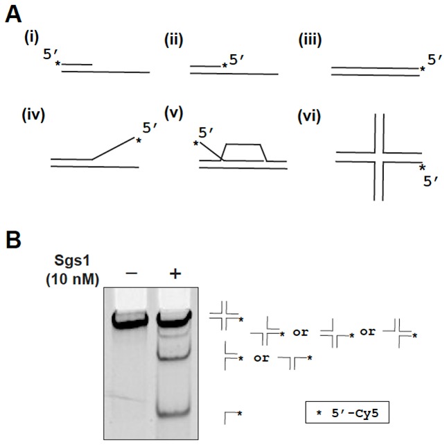 Figure 10