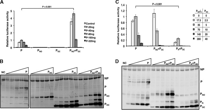 FIG 2