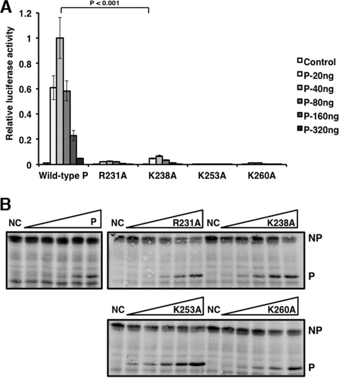 FIG 6