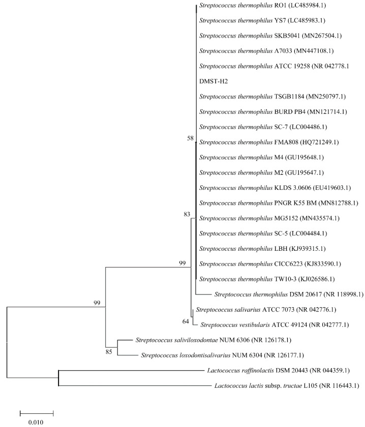 Figure 2